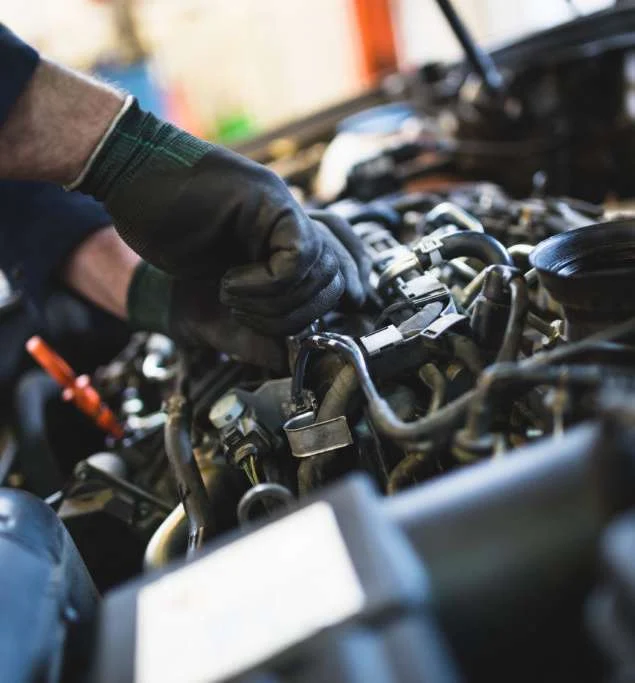Tune-Ups photography
